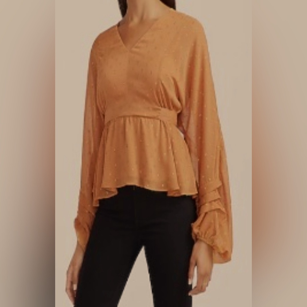 Express Metallic Clip Dot Tie Back Balloon Sleeve Top